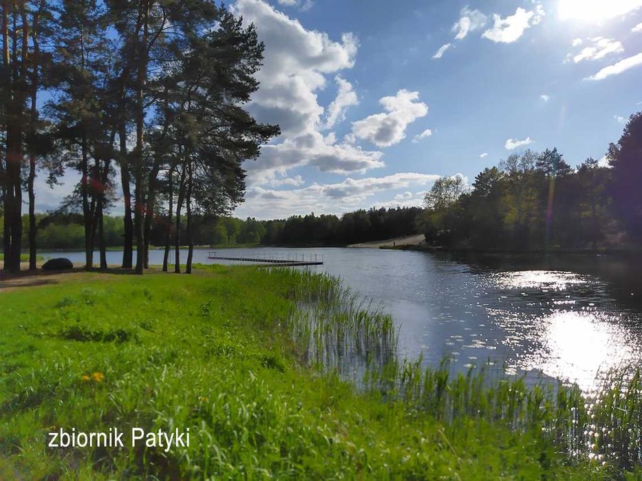 Mały domek na urlop pod lasem Nocleg