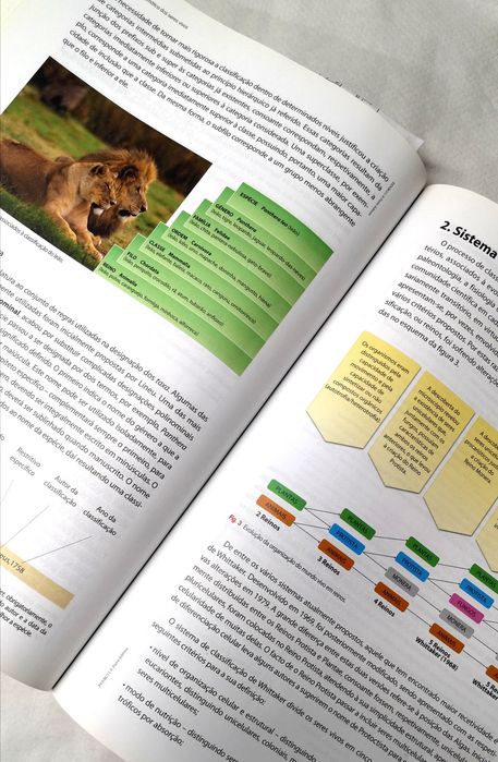 Preparação Exame Nacional: Biologia e Geologia 11ano