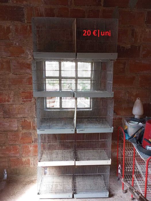 Viveiros e Gaiolas de criação com seções