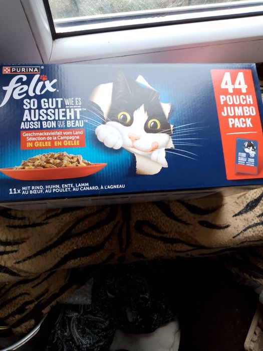 Saszetki dla kota Felix Purina