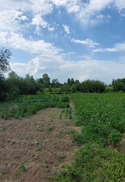 Продам дачу в селі Кіїнка