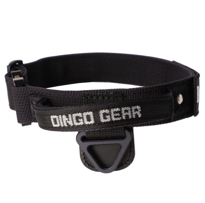 Obroża Dingo Gear