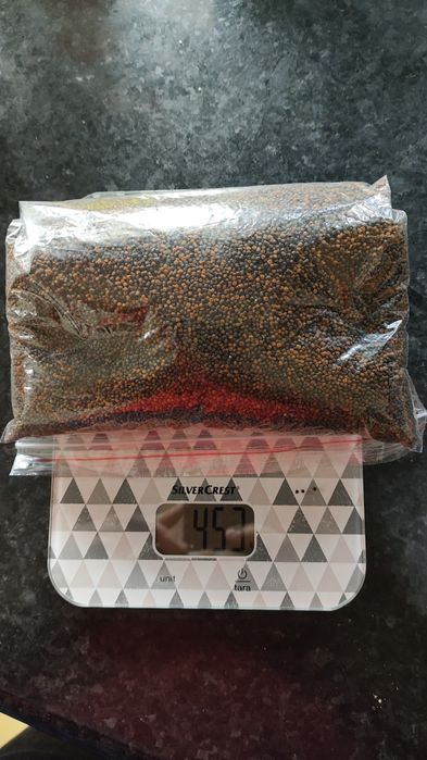 Granulado  ciclideos