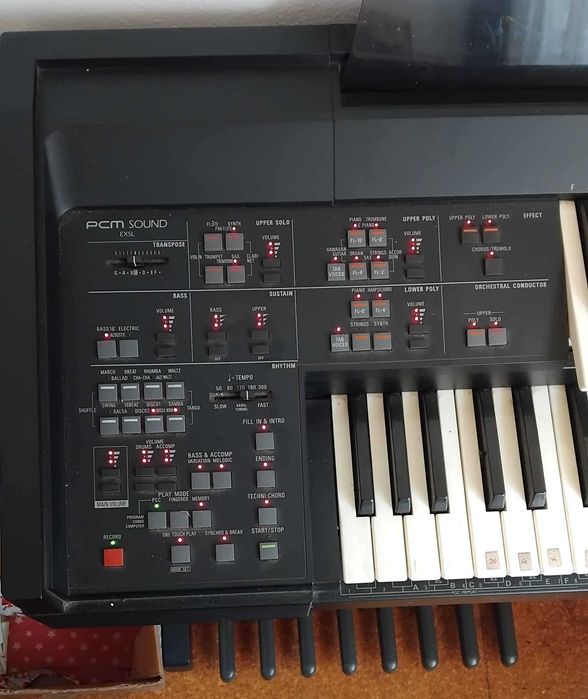 Órgão eletrónico Technics SX-EX5L