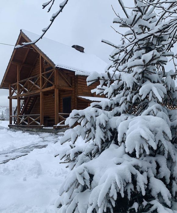 Будинок в Карпатах, ГК «Плай»