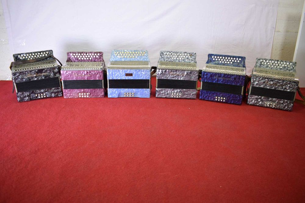 Concertinas 6 Total Nusbaummer