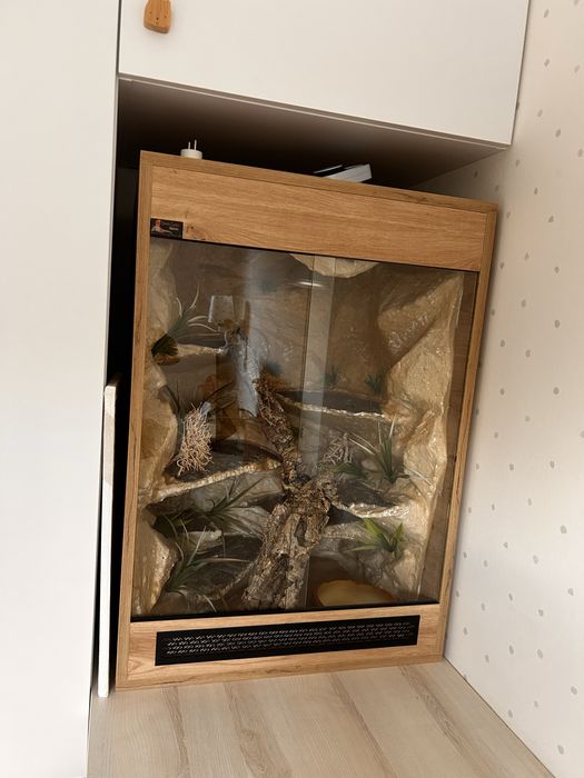 Duże terrarium 85 × 60 × 52,5 cm – kompletne wnętrze
