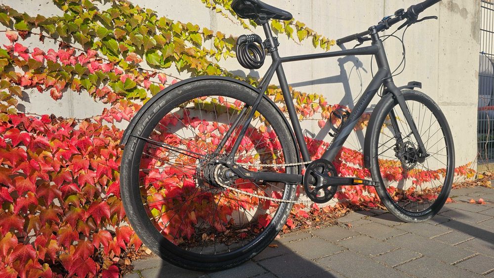 Serious Intention Street 58cm rower miejski 2021