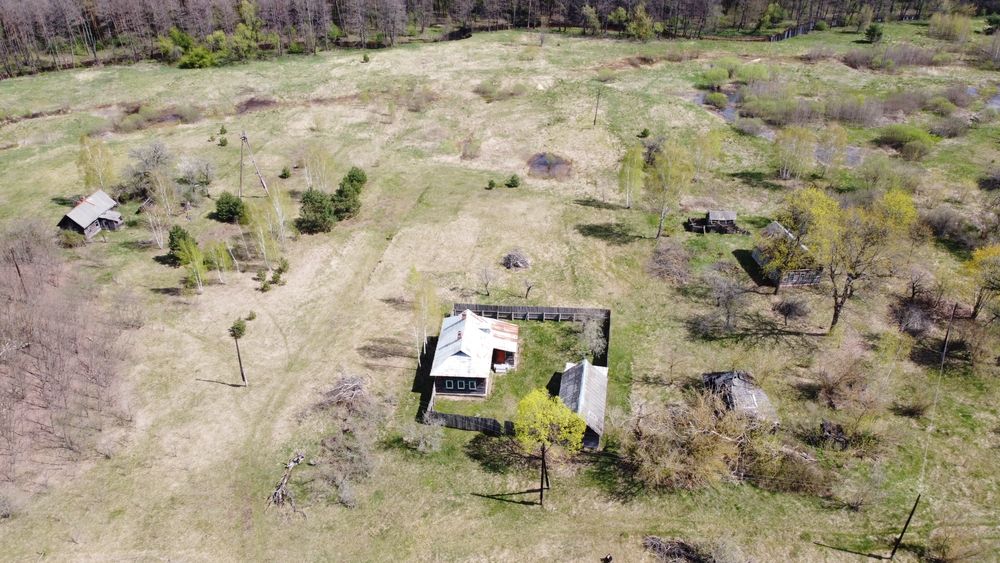 Будинок на хуторі, хвойний ліс, мальовниче місце.