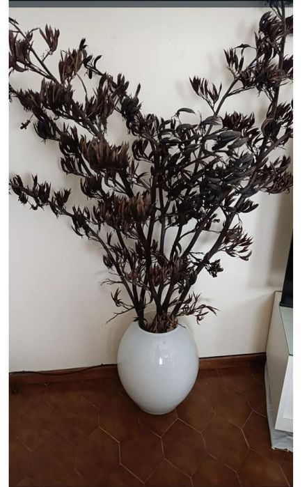 Grelardor IKEA, veja os outros anúncios e