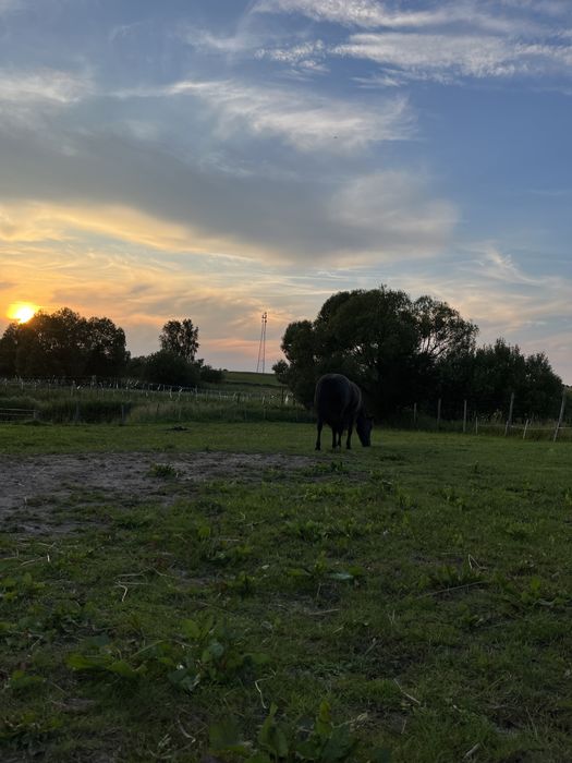 Domek na wiosce / nocleg