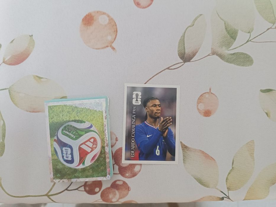 Pack de cromos panini