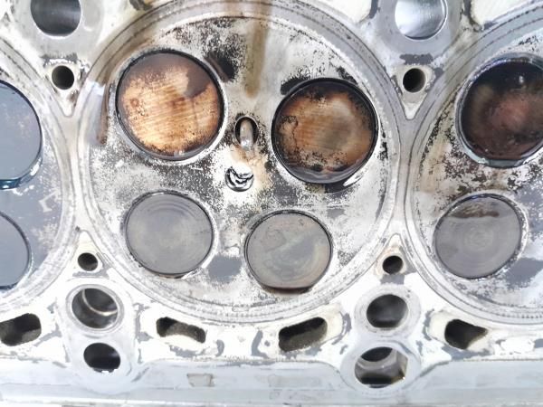 Colaça / cabeça do motor AUDI A3 (8P1)