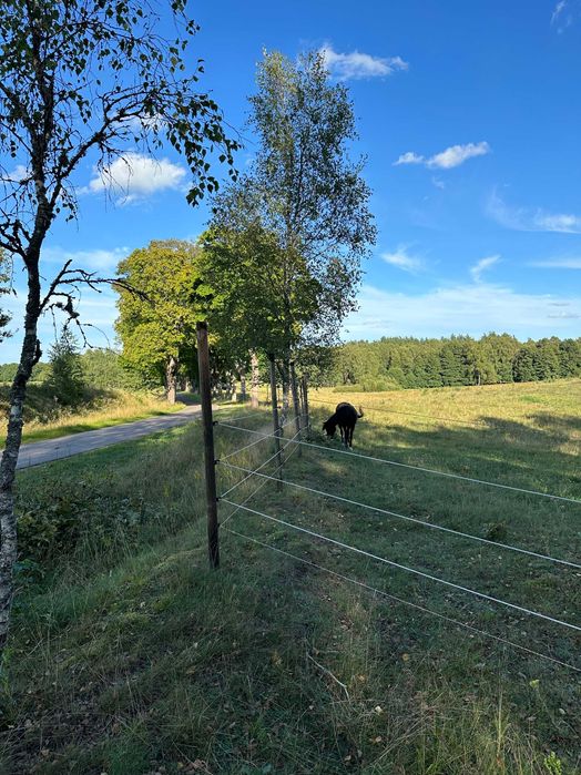 Sprzedam dzialki rolne