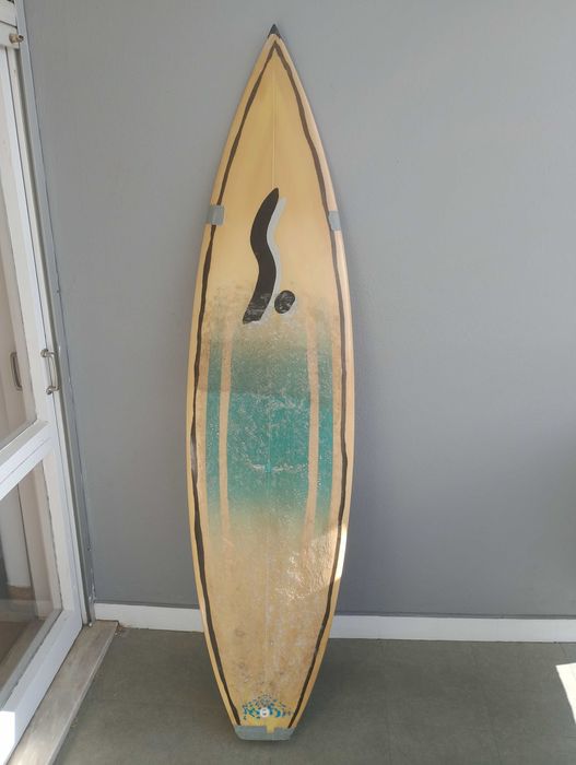 prancha de surf semente