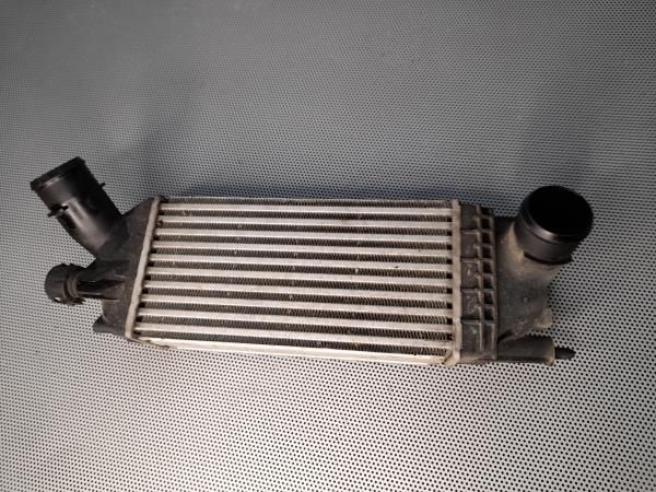 Radiador do intercooler CITROËN C5 III Break (RW_)