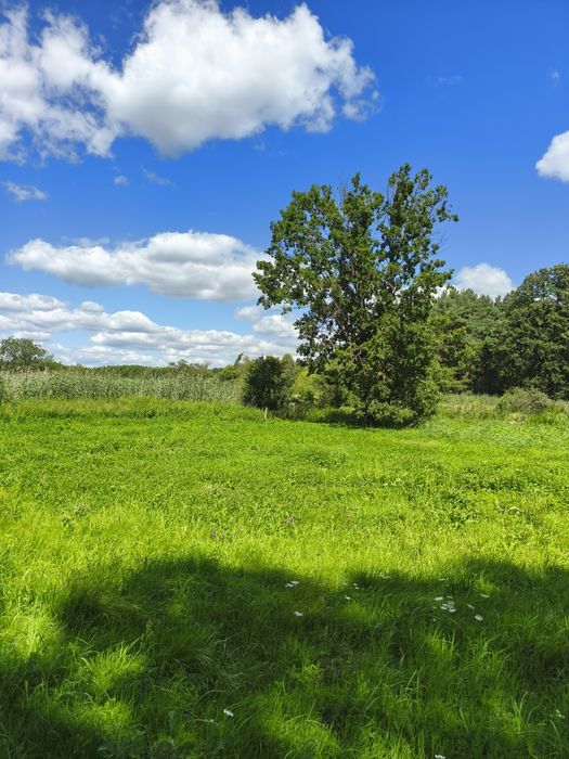 Działka do rekreacji, z dostępem do rzeki - Widok 4