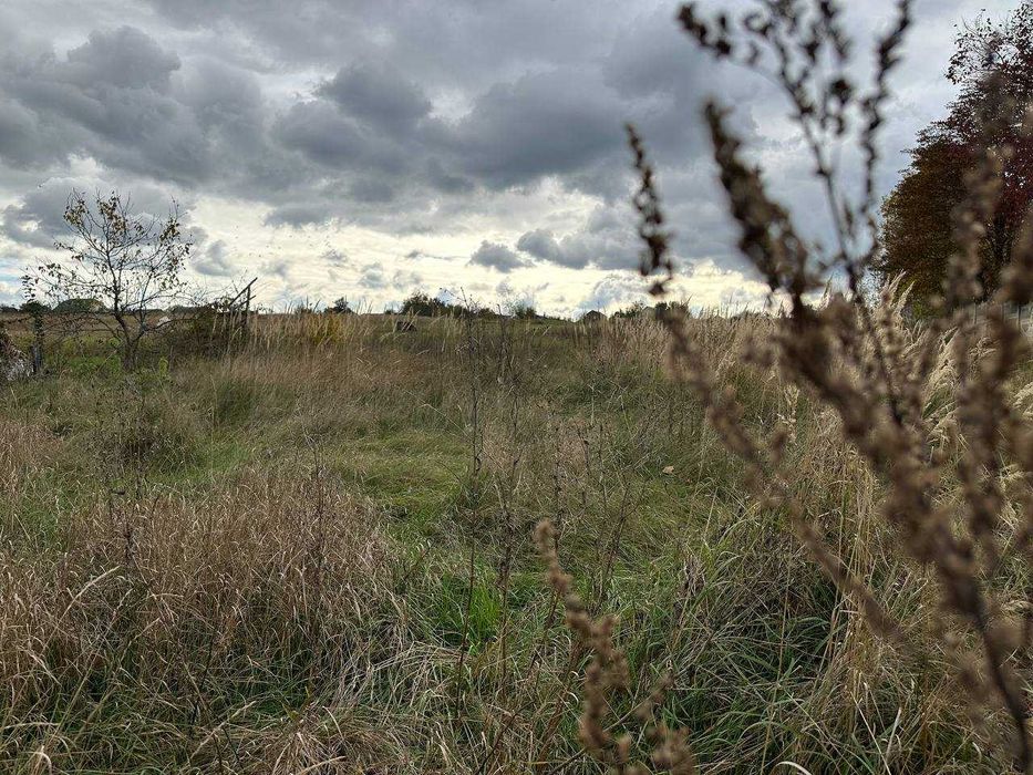 Продаж 25 соток з електрикою вул. Шевченка