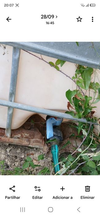 Ibc 1000l usado na horta