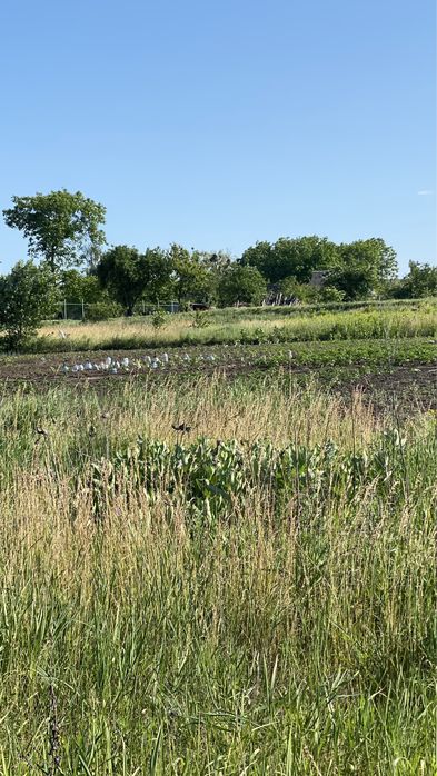 Мазанка + Ділянка 51сот. біля води, Обухів р-н. с. Красне Перше