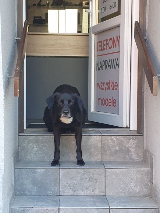 Dorabianie i naprawa kluczy samochodowych .Awaryjne otwieranie. Śląsk
