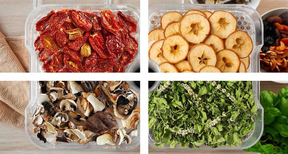 ZESTAW Duża Suszarka do grzybów owoców warzyw ziół 500W 6 sit MOCNA