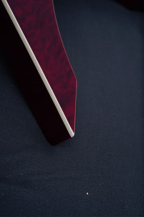 Esp ltd ninja 600 Michael Amott