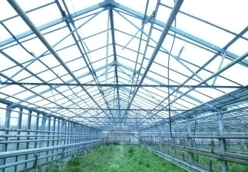 Szklarnia ukrainka, bułgarka. Skup z rozbiórki. Rozbiórka.