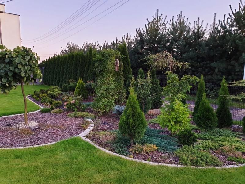 WYCINKA DRZEW, przycinanie żywopłotów, koszenie