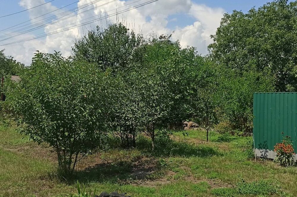 Продам земельну ділянку в с. Блошенці