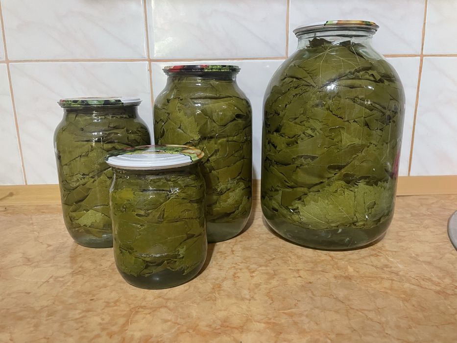 Продам листья винограда
