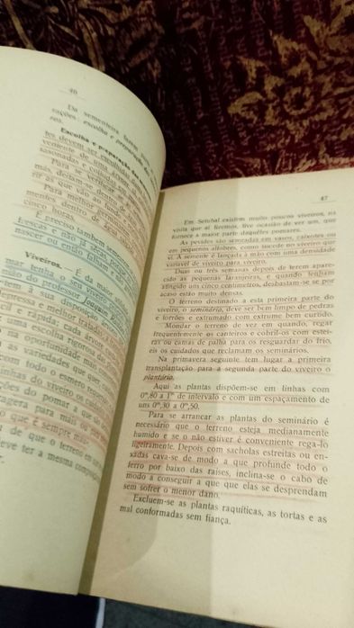 Os Laranjais de Setubal 1918 Reservado