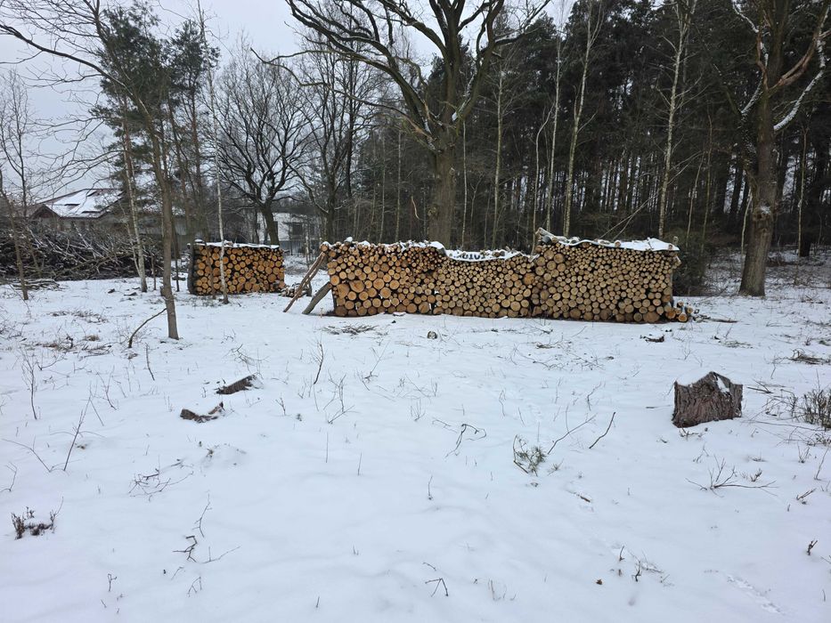 drewno opałowe i kominkowe sezonowane i świeże