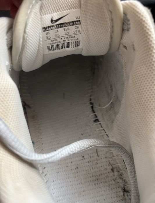 Кросівки nike Dunk
