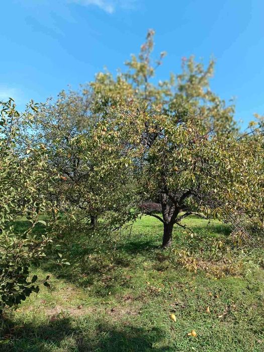 House by the address (area 298 m²) - Atlanta.ua - photo 13