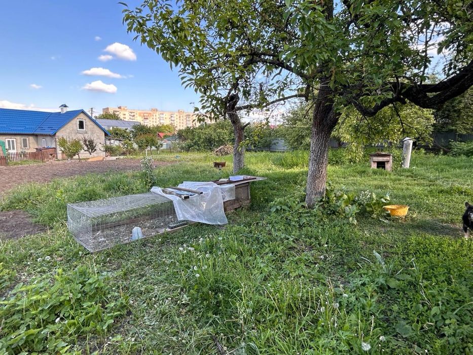 Продам будинок з великою територією