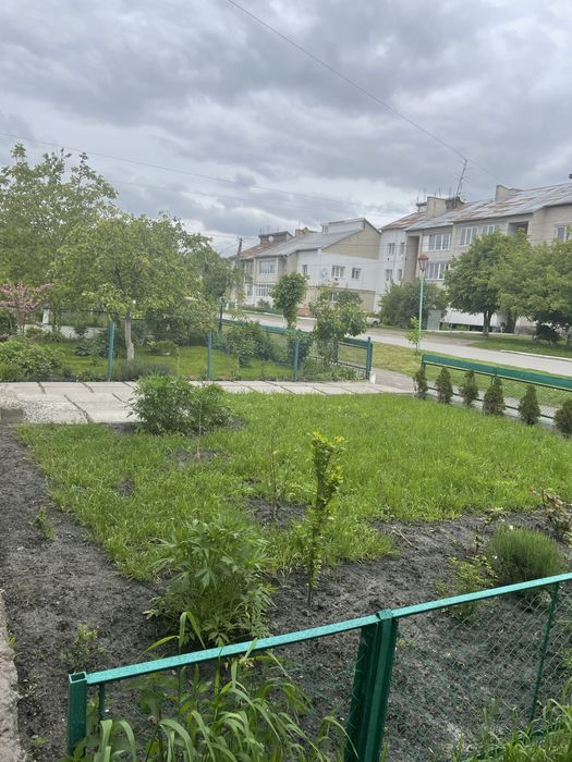 Продам будинок в центрі села Вузлове 80 м.кв