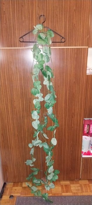 Sprzedam sztuczny bluszcz - 6 sztuk