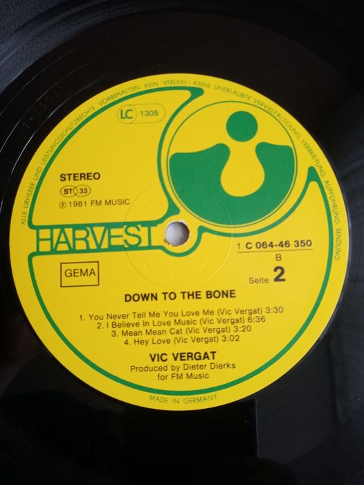Vic Vergat-Down To The Bone-LP-winyl,vinyl