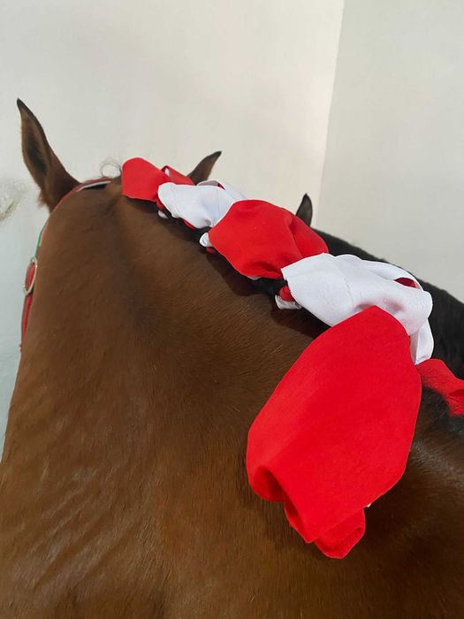 Entrançador de Cavalos