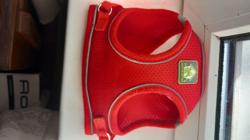 Світловідбиваючий жилет та нашийник для собак та котів.  М розмір.