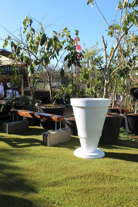 Plant pots / Vaso