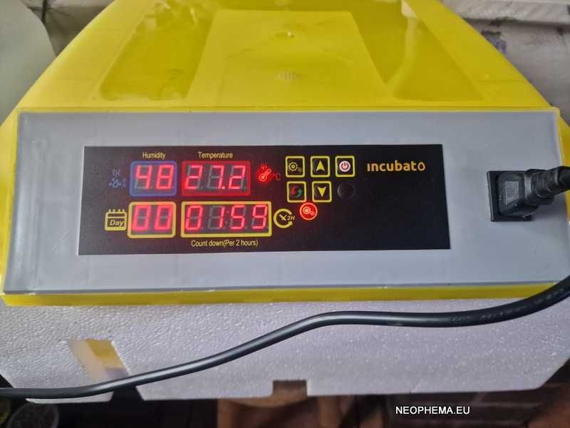 Inkubator na 48 kurzych standardowej  wielkości jaj z obracaniem