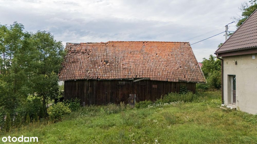 Dom w Olszewkach
