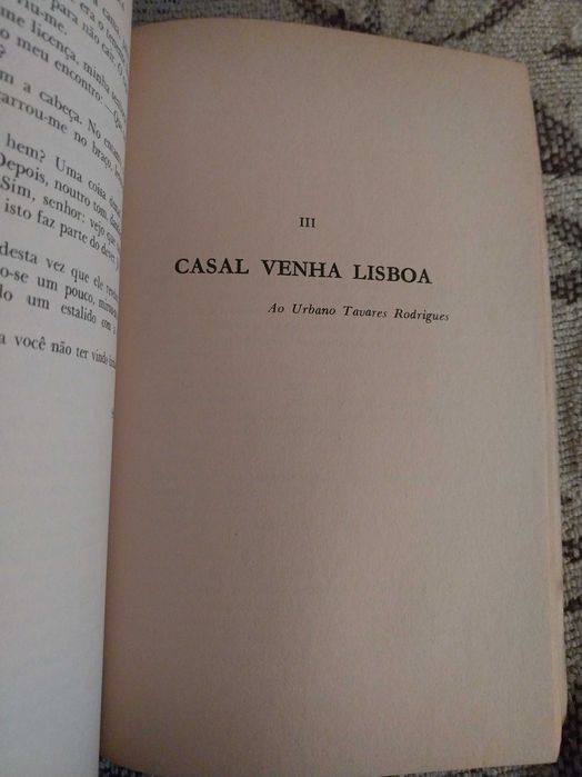 Gaivotas em Terra