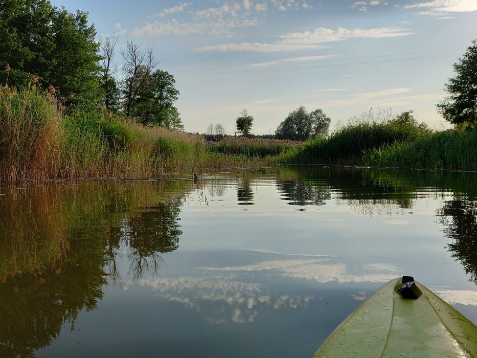Całoroczne domki nad jeziorem Wieleń: grzyby, wędkowanie, Święta, Nowy Rok
