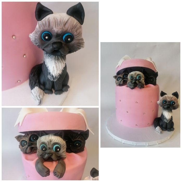 Figurka na tort /Figurki z masy cukrowej