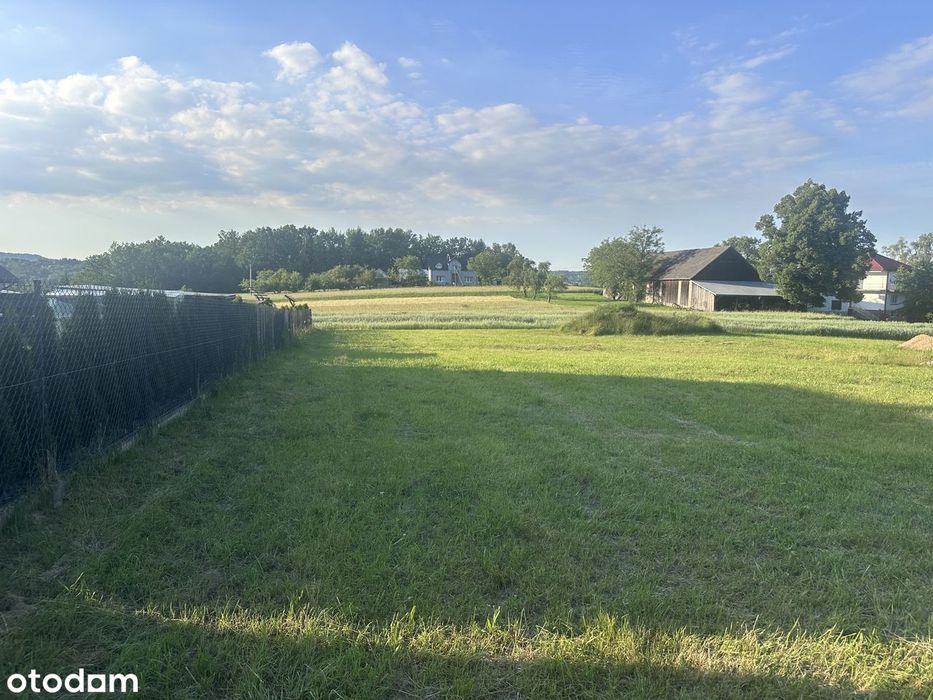 Działka budowlana 1700 m² las, w niedalekiej odległości od jeziora - Widok 4