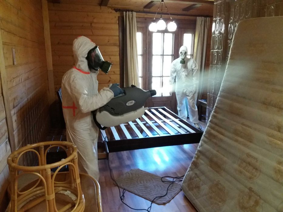 Уничтожение тараканов, клопов, блох, паров ртути, грибка.