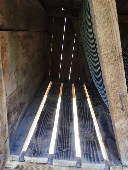 Клітка для кролів дерев'яна